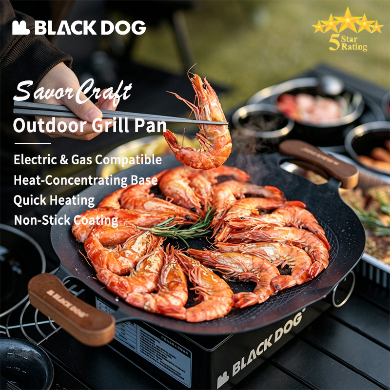 BLACKDOG Non-Stick BBQ Grill P - Induction Cooktop Portable recension och pris